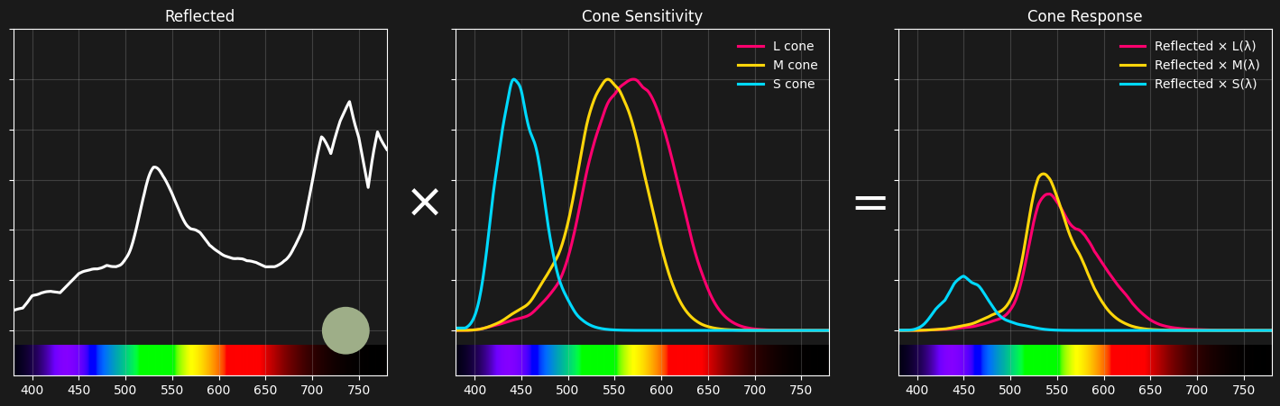 Reflected spectrum modulated by cone sensitivity